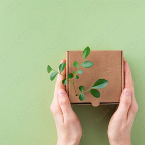 Blog-img2